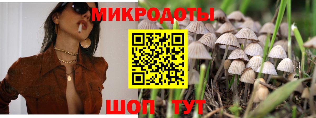 Псилоцибиновые грибы GOLDEN TEACHER  Вход с VPN  Галлюциногенные грибы мухоморы  Тамбов 